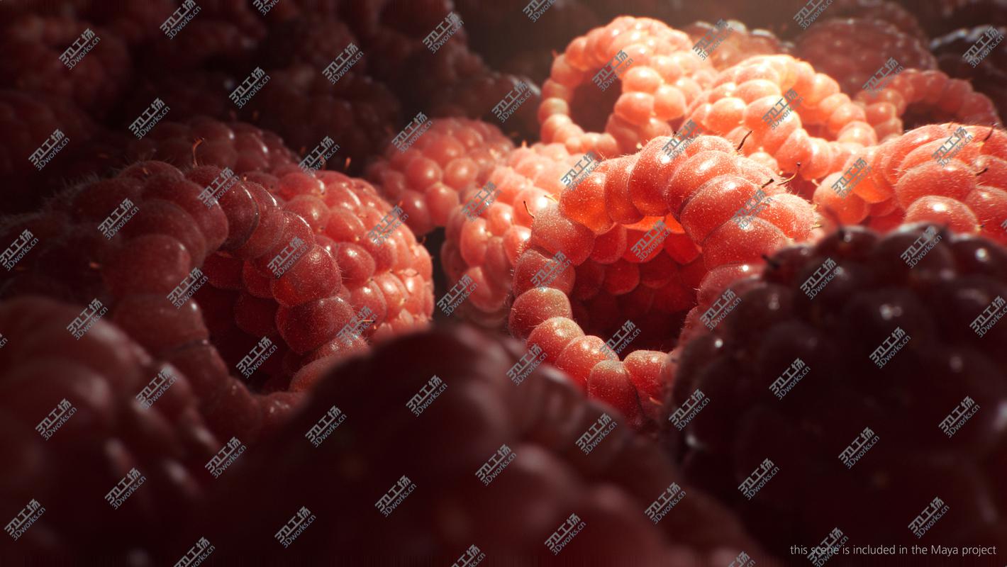 images/goods_img/2021040232/3D Raspberry (fur)/3.jpg